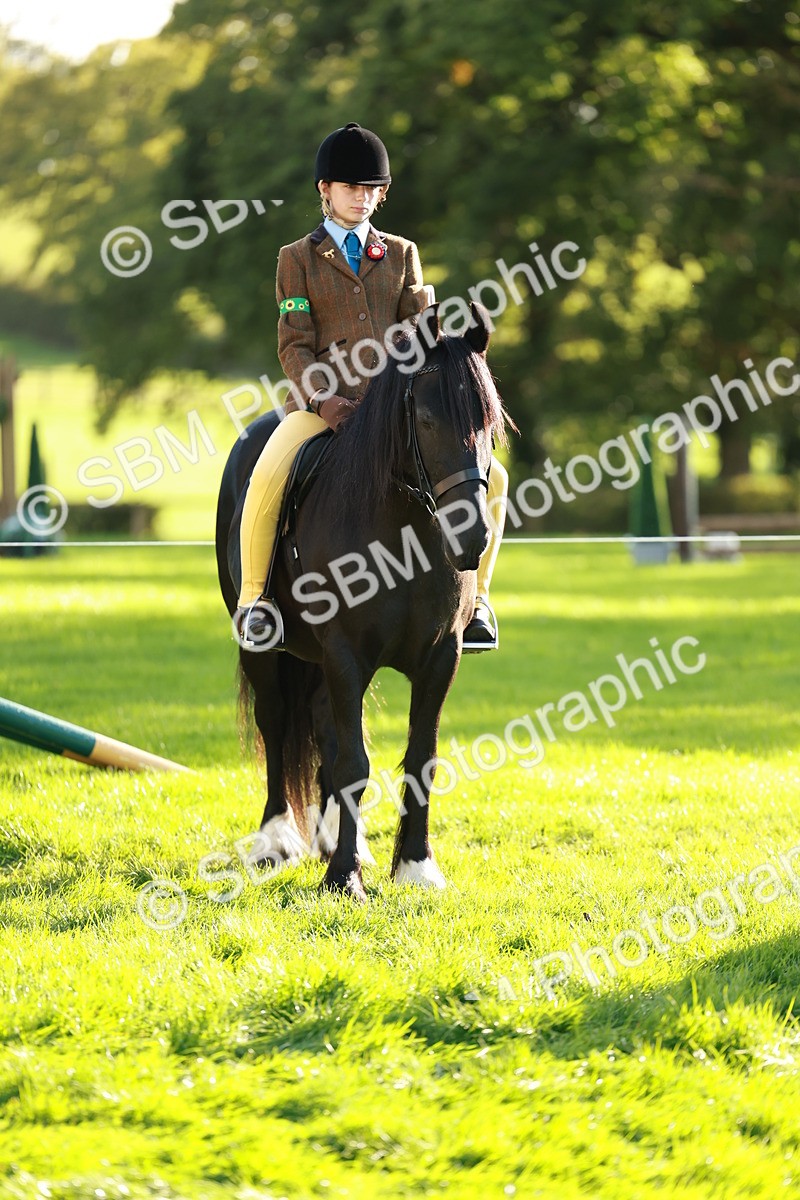 SBM_28712 - S7 - Novice & Newcomer Ridden Pony