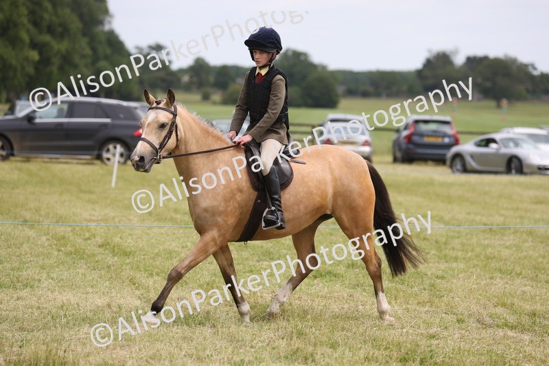 20260614-2979 - Class 22 - Open Working Hunter
