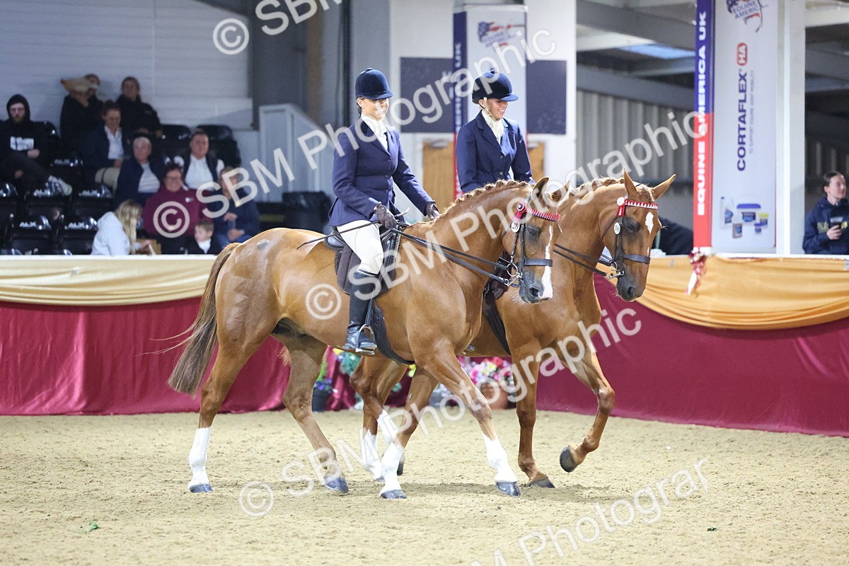 0B8A4323 - Class M Ridden Pairs Champ