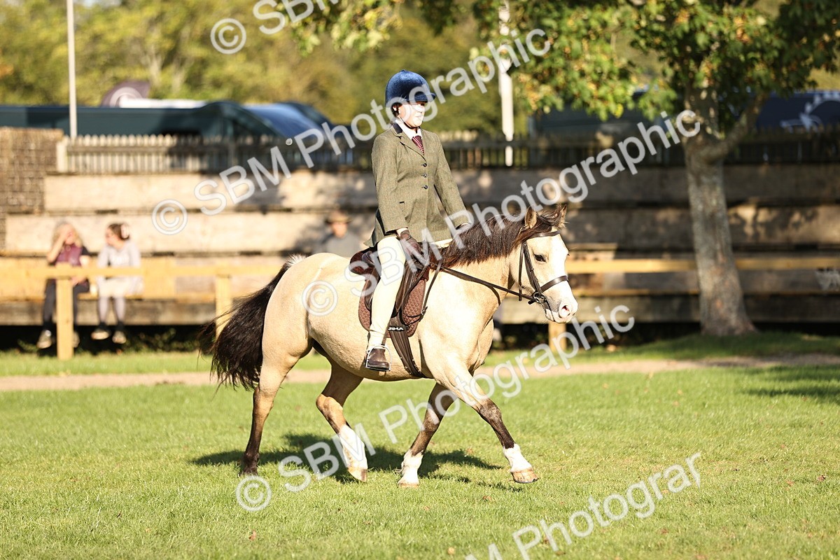 SBM_29402 - S7 - Novice & Newcomers Ridden Pony