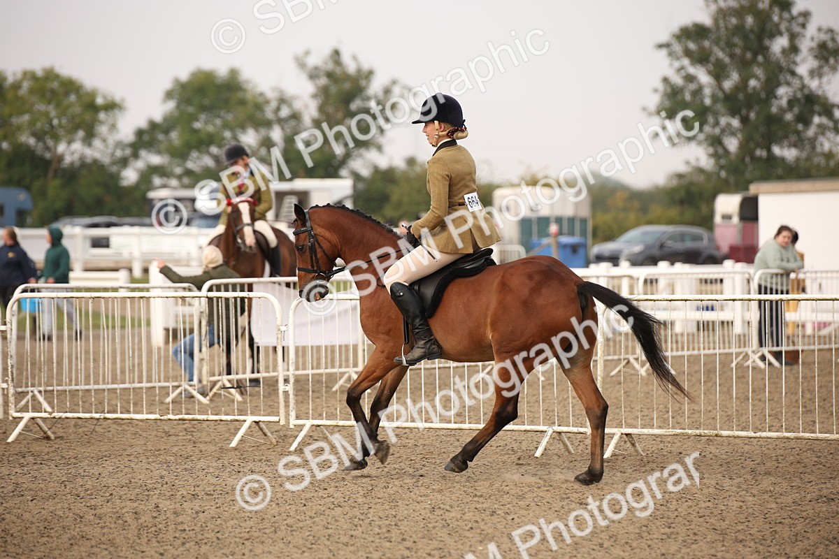 SBM_09781 - Class 401 Riding Club Pony