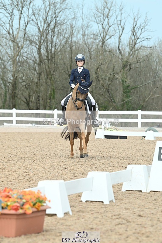 250403-123532-02374 - 061-Violet.Hawkins-DZL.Royal.Sunrise