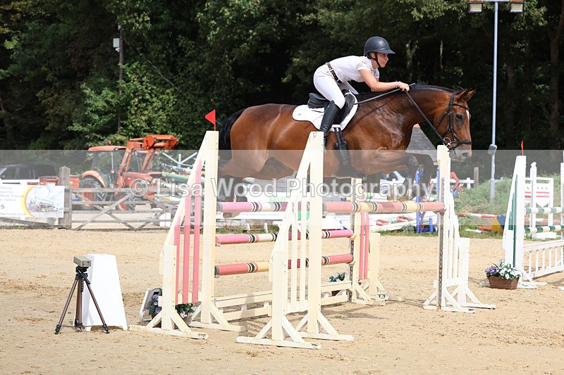 3E7A4331 - Class 8: Senior Foxhunter/1.20 open