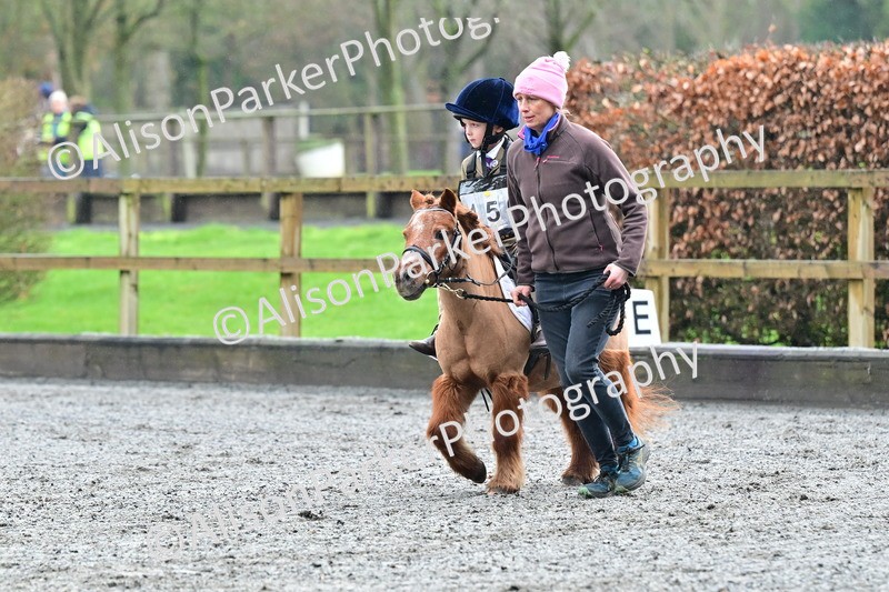 20260125-0917 - Class 9a - Walk Trot Assisted