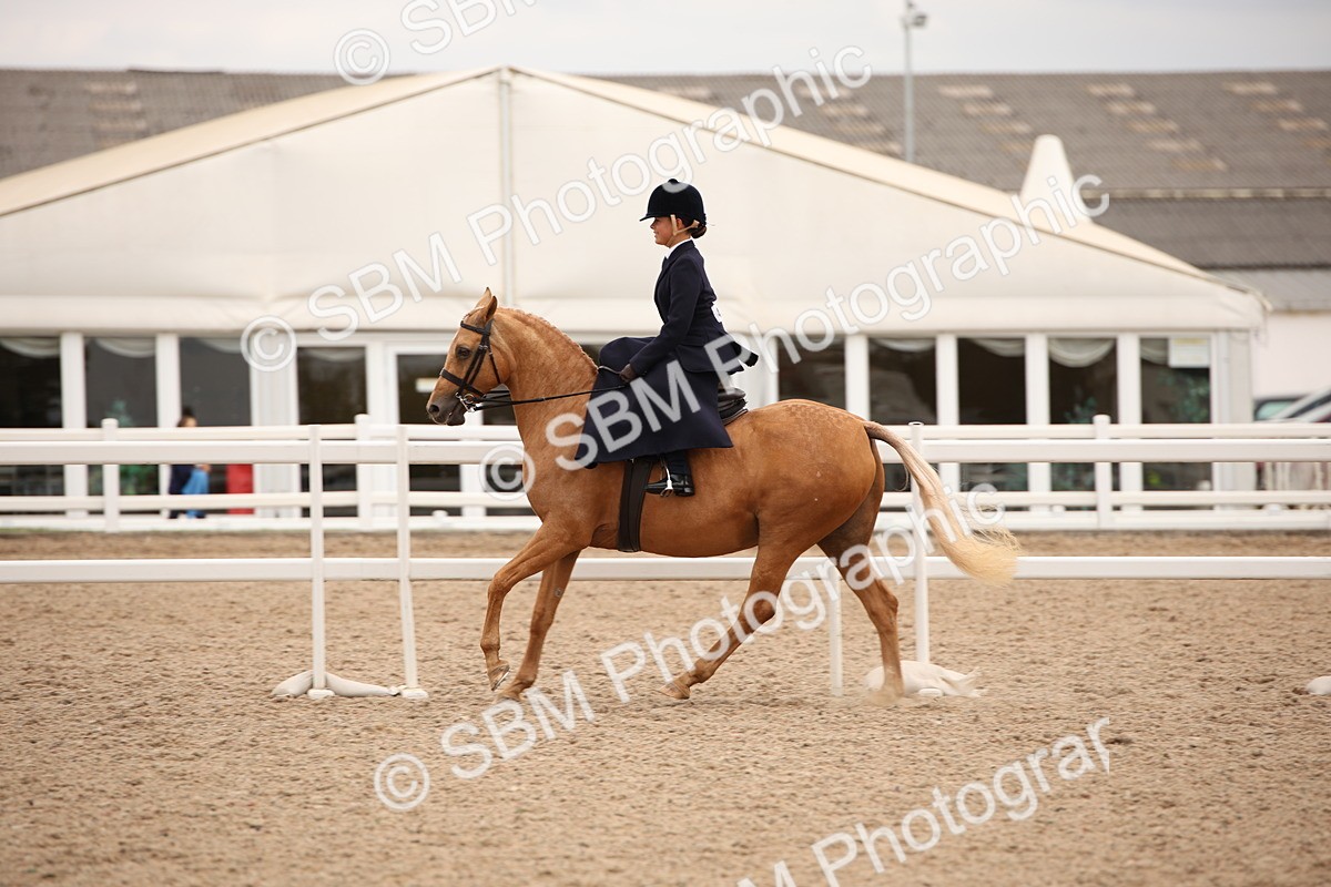SBM_05435 - Class 22 SSA Equitation