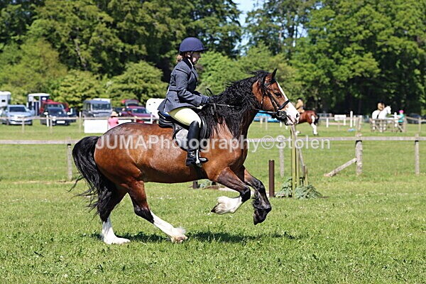 IMG_4070 - Working Hunter
