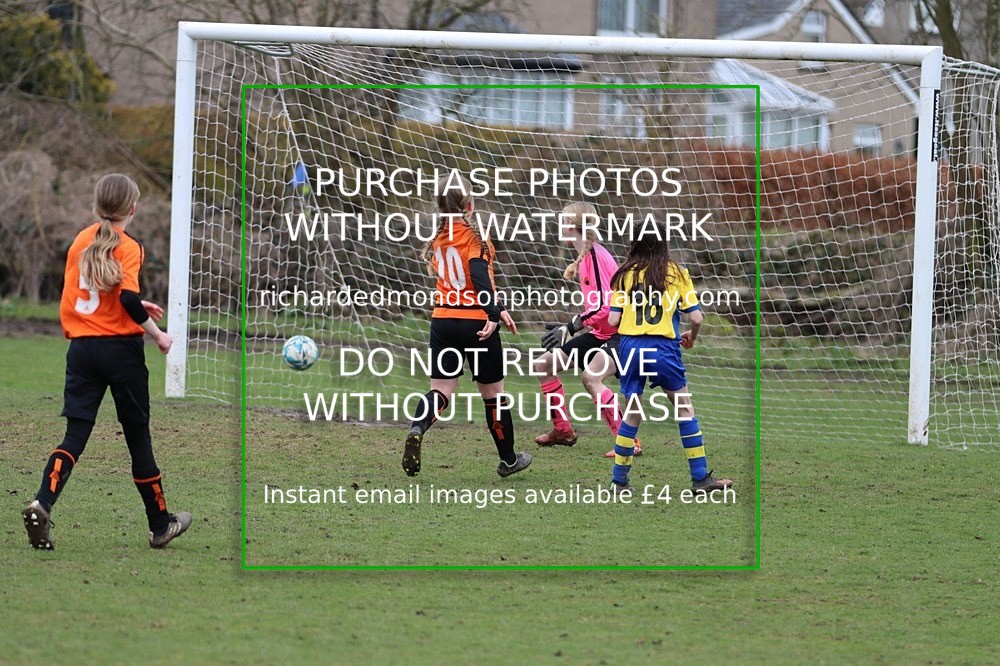 IMGKU29 - Kendal Utd Cobras Extra Photographs (19/3/23)
