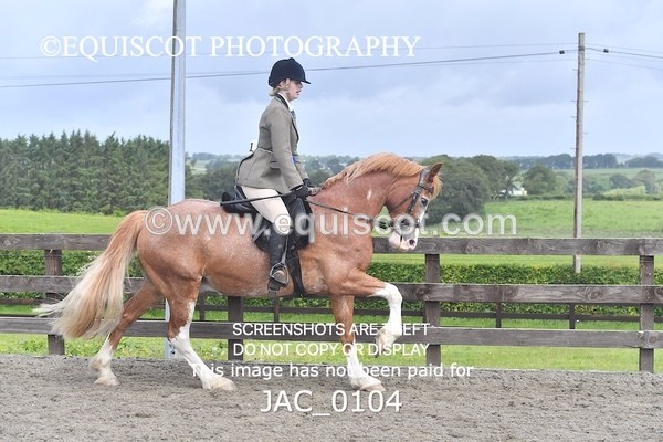 JAC_0104 - CHAMPIONSHIPS AND SUPREME
