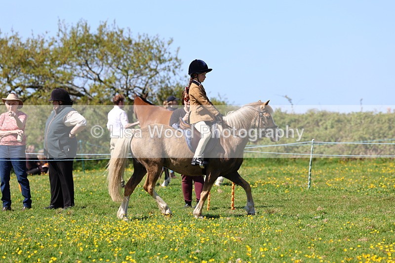 3E7A0066 - Class 4: Best Combination Junior