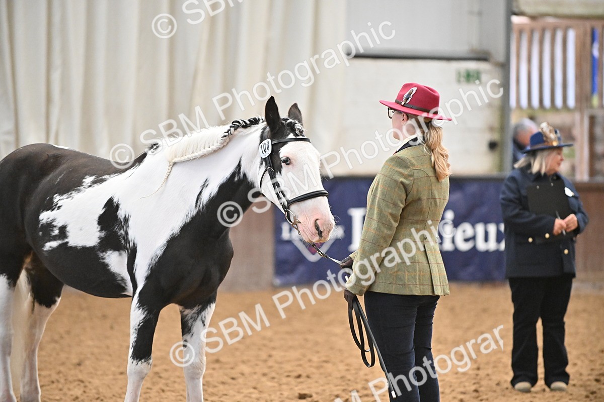 SBM_000291 - Class 10 - In Hand Coloured & Odd Coloured