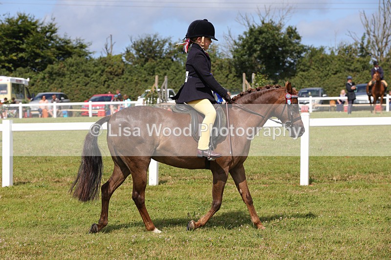 1X9A3803 - Class 30: First Ridden SP/SHP