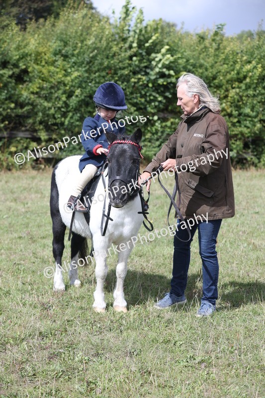20250831-2764 - Class 17 - Lead Rein Pony