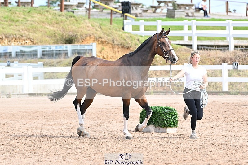 240717A-161955-03412 - Trot Up 4pm to 5pm