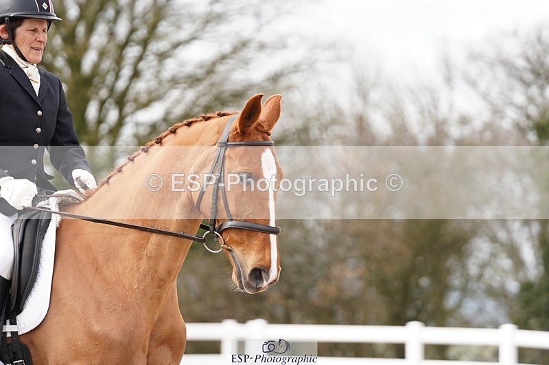 250322-103604-00154 - DR Novice 1 Test