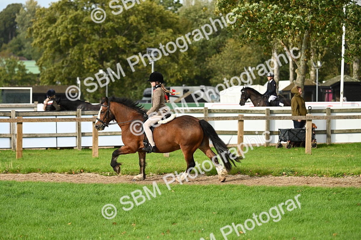 SBM_26640 - S7 - Novice & Newcomer Ridden Pony