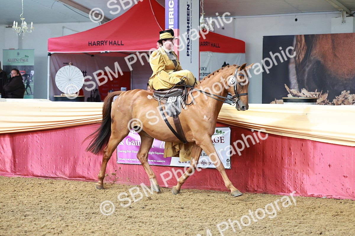 SBM_13546 - Class 105 - Ridden Costume - Side Saddle