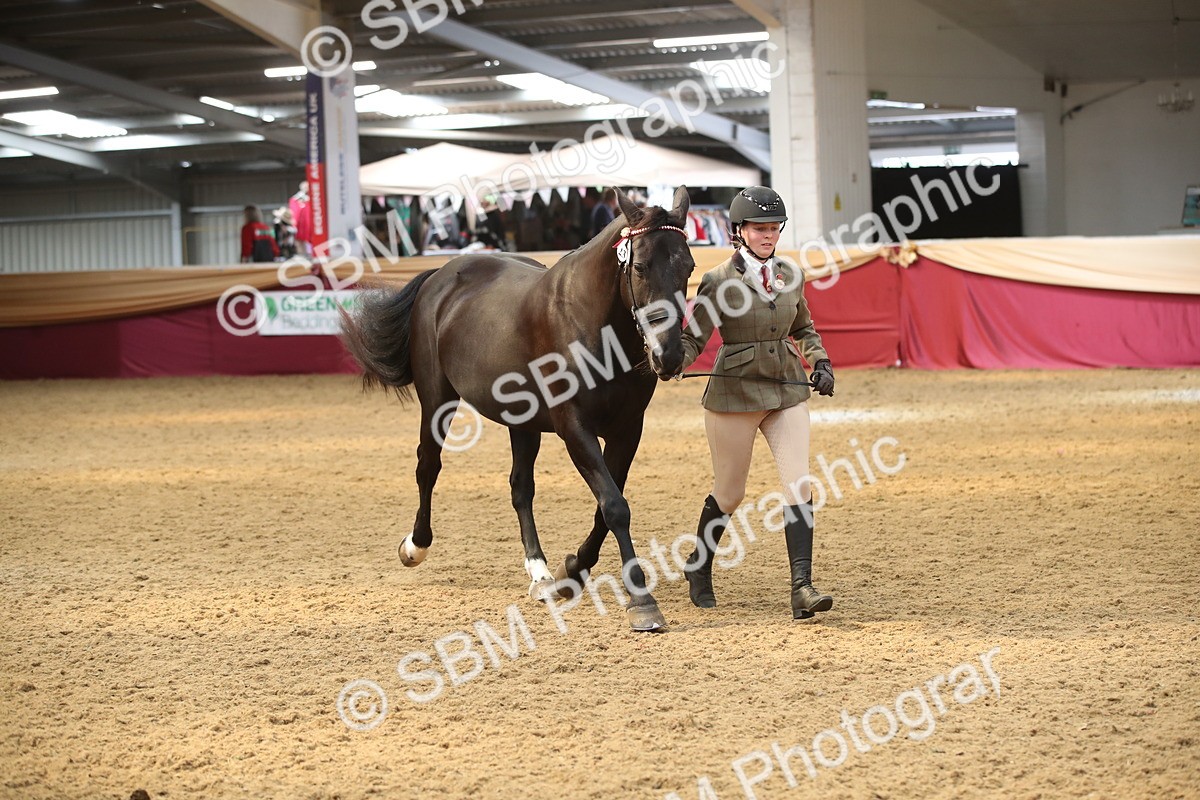 SBM_05329 - Class 8R - Regional IH Veteran