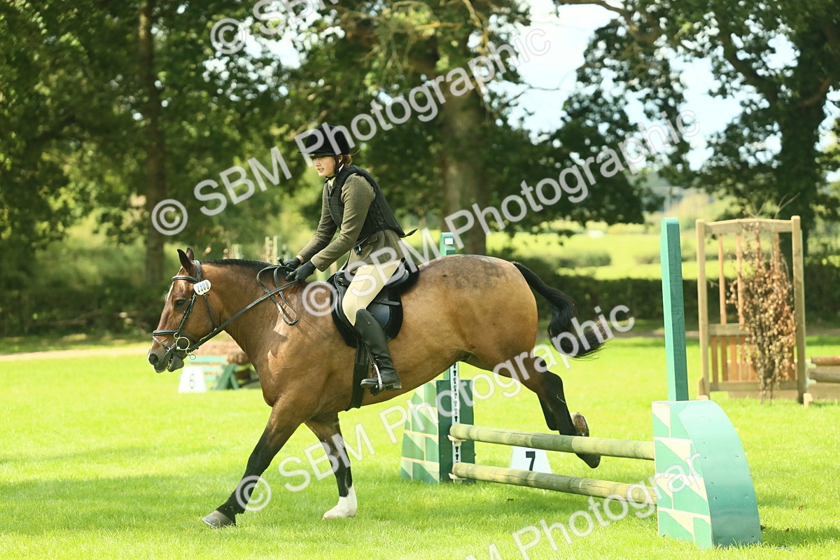 SBM_42107 - S29 - Novice & Newcomers Working Hunter Pony