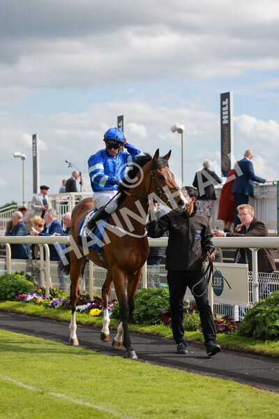 yr21052022r6-10 - Race 6: 4:42pm Yorkshire Regiment Stakes