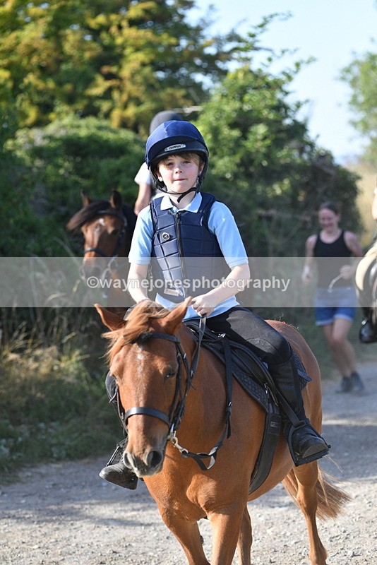 WJ5_5045 - Walk out with the hounds