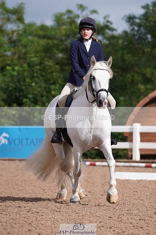 240809A-093404-00281 - Dressage Competition