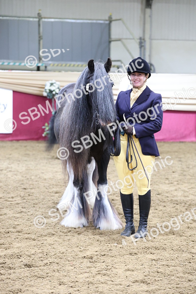 SBM_20175 - Class C - Novalty Champ