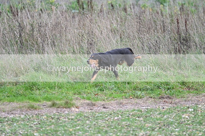 WJ7_2565 - Camera A