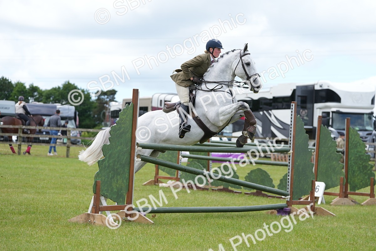SBM_14982 - Class 100-102 - RIHS Working Hunter