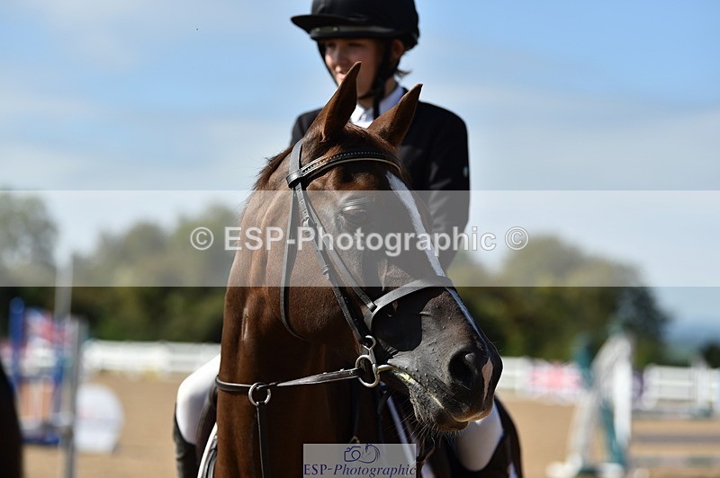 230903A-113900-04246 - Cls 18 Pony Brit Novice & 80cm Open