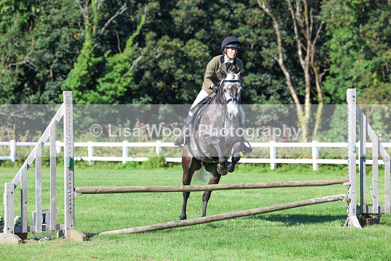 3E7A7756 - Class 2: Open Working Hunter pony