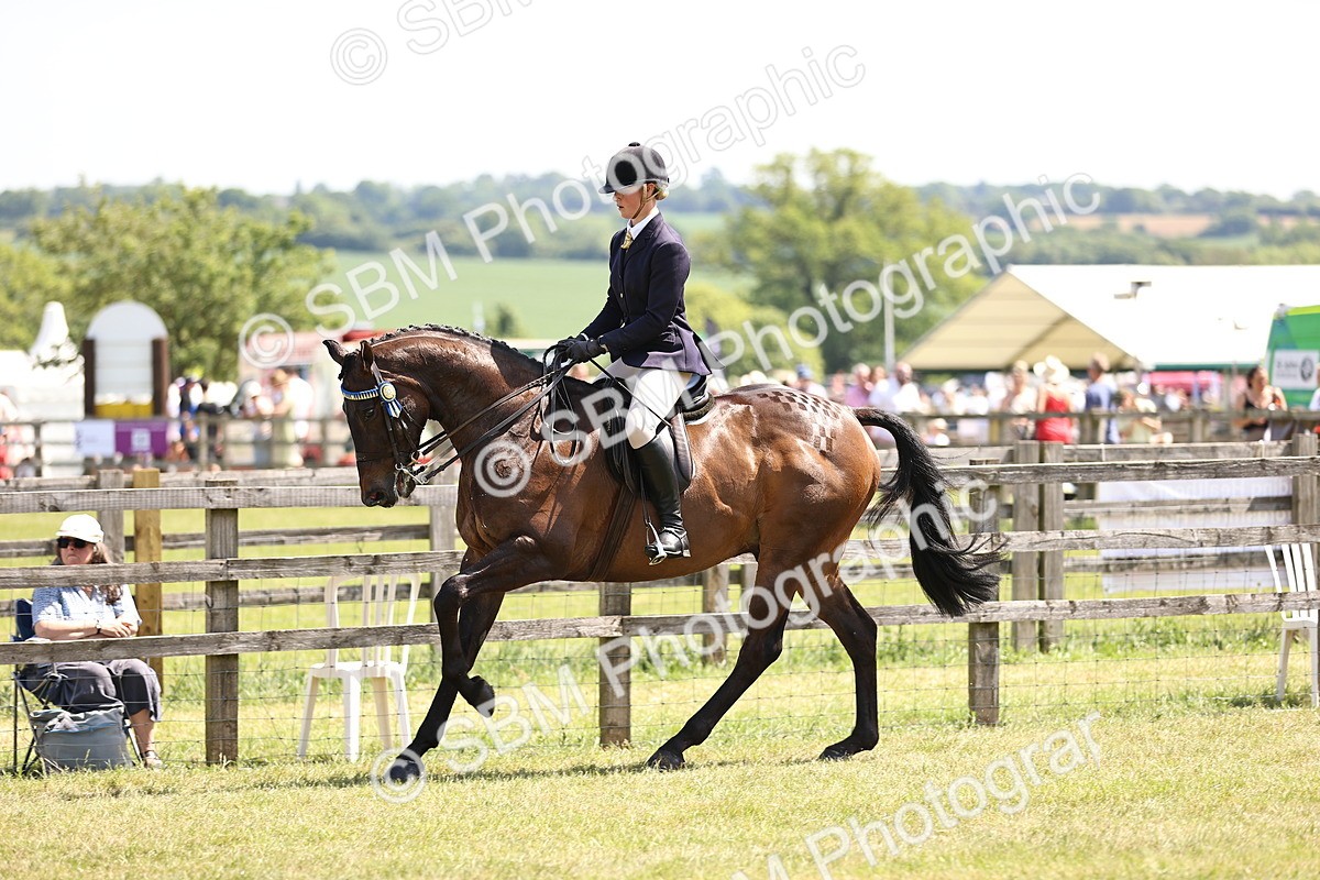 SBM_14912 - Class 78 - LIHS BSHA Open Racehorse & Show Horse