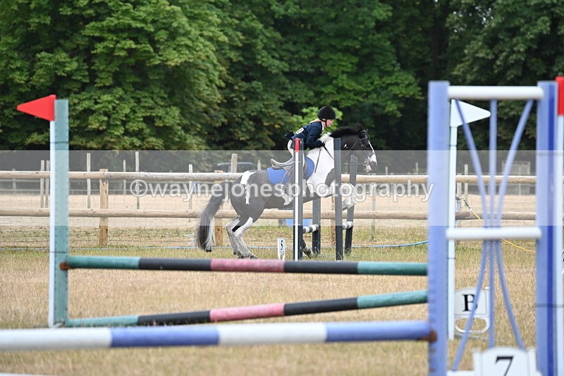 WJ6_9948 - Class 13 Novice Jumping 60cm