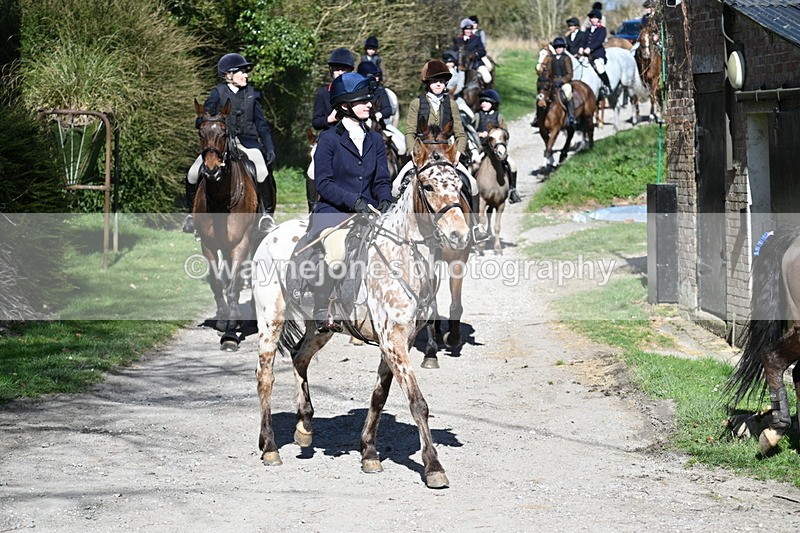 WJ7_9720 - Home for hunt tea !