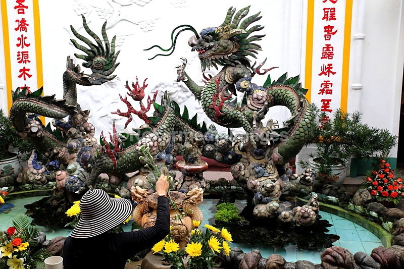 VIET_0406 - Vietnam 2017