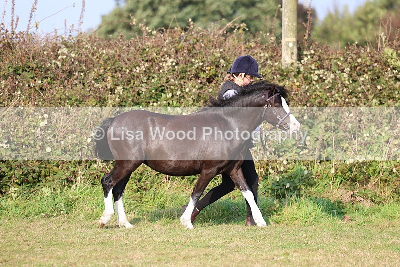 3E7A3108 - Class 12: M & M Small Breeds