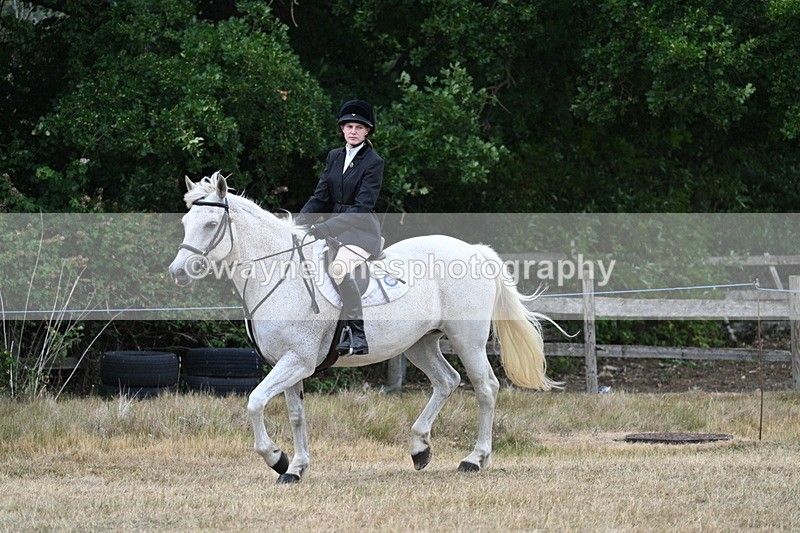 WJ7_0937 - Class 7 Riding Club Show Horse