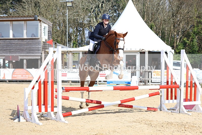 3E7A6564 - Class 4: Senior British Novice/90cm open