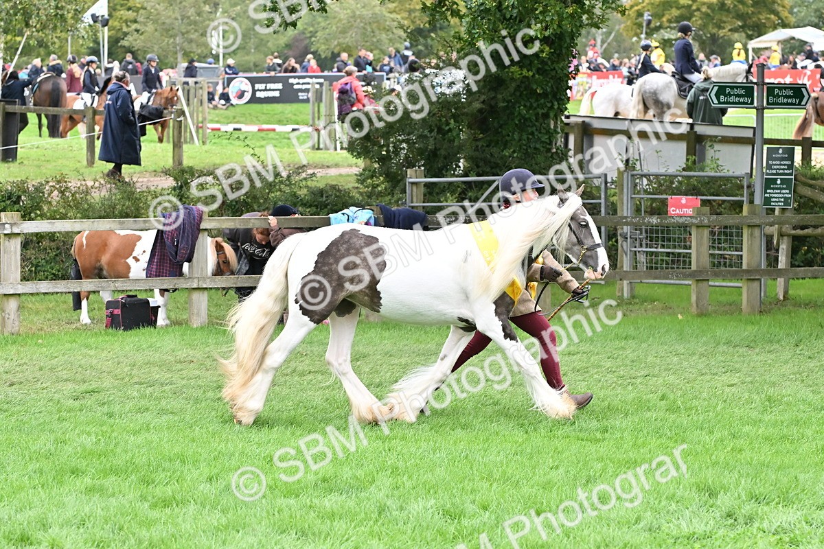 SBM_64971 - In Hand Pony & Younstock Supreme Championship