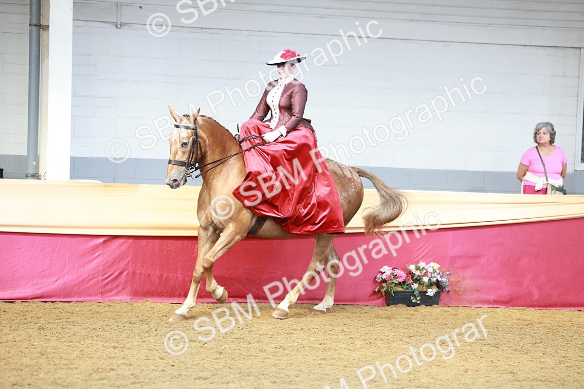 SBM_13573 - Class 105 - Ridden Costume - Side Saddle
