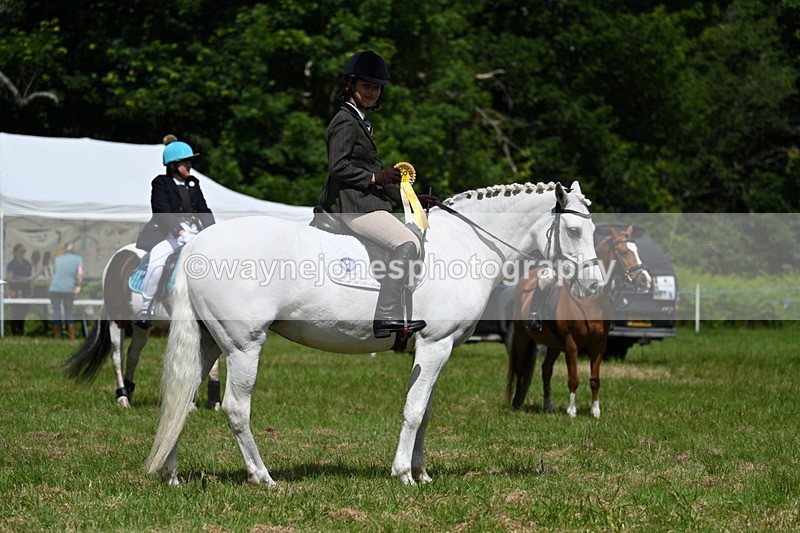 WJ7_1815 - Class 9 Pony Club Pony