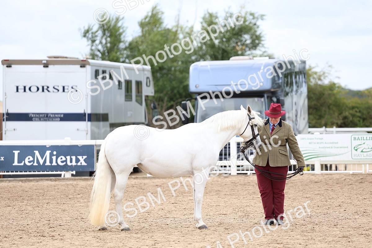 SBM_05848 - Class 29 - IH Veteran Pony
