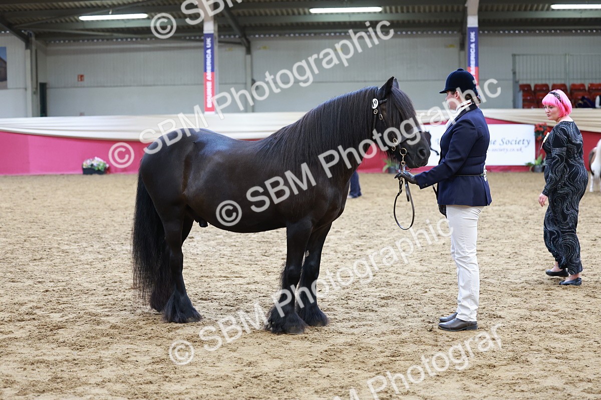 SBM_17353 - Class 951 - M&M IH Supreme Final