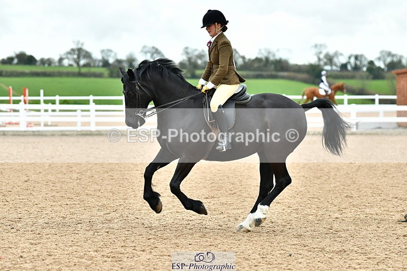 230416A-115555-04242 - Cls 72+73+69 Welsh, Trad Cob and Foreign