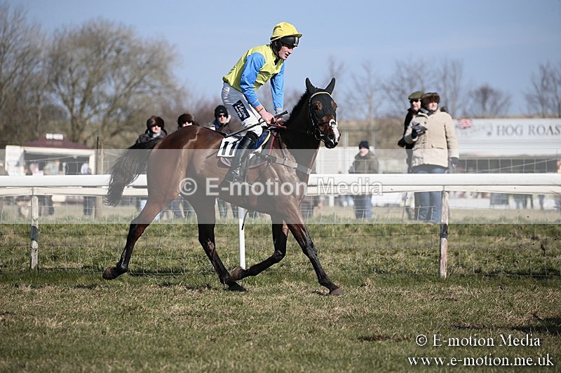 PtP 240218 183 - Vine & Craven Hunt Point-to-Point Barbury racecourse 24/02/18