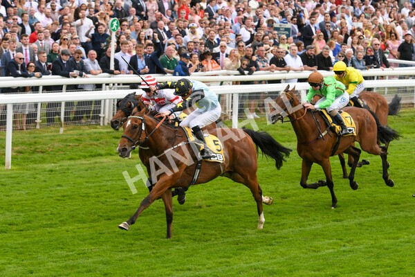 yr11062022r3-18 - Race 3 2.35pm The JCB Stakes