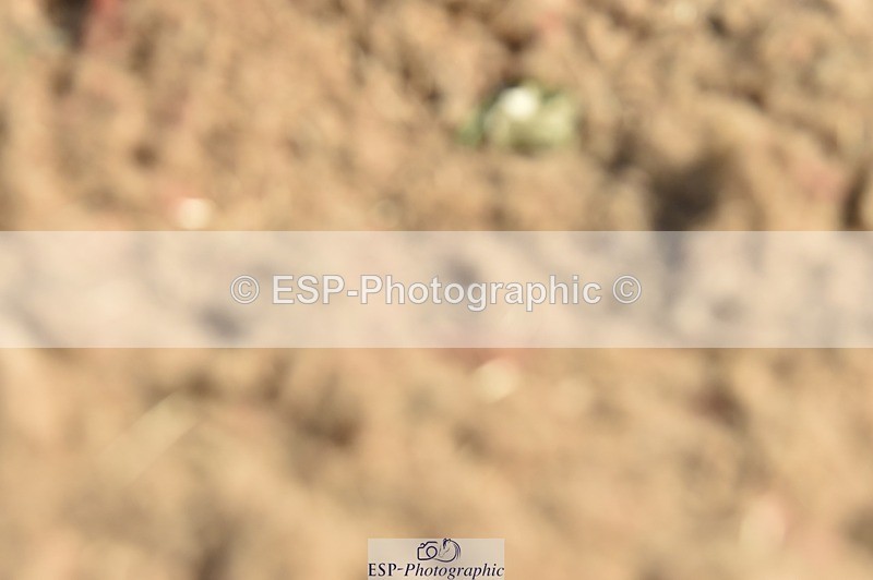 250622-092212-12756 - Quest Cls 19-24 Intro Tests