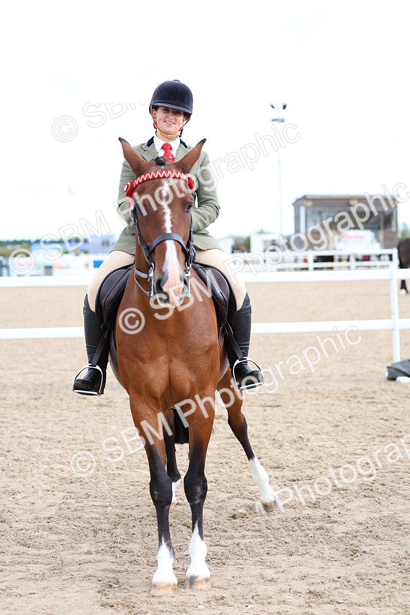 SBM_10076 - Class 304 - Ridden Part Bred Horse Pony