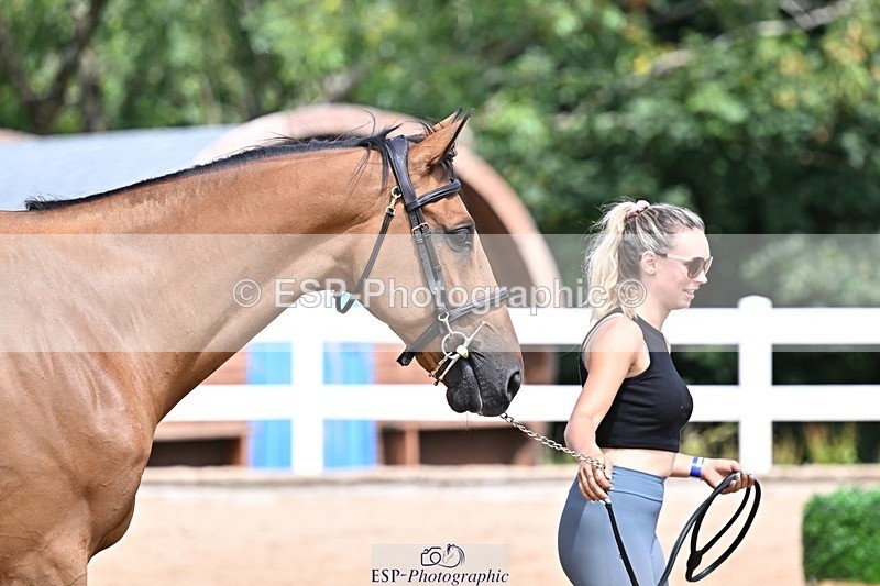 250716-124543-00152 - Trot Up 12.30 to 1.30