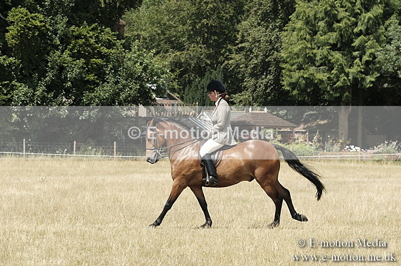 _PJP5975 - BVRC Show 2018 Ring 1