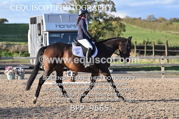 BPP_9665 - SHORT ARENA